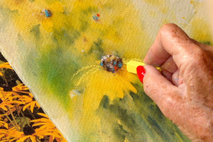 Black Eyed Susan : Pastel Enhancement