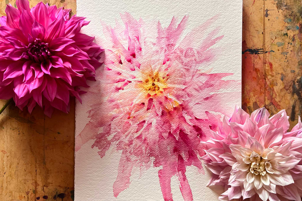 Dahlia Mania : Colour Explosion