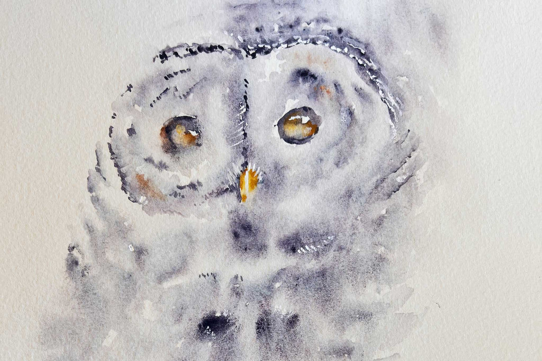 Halloween Advanced Owl Composition