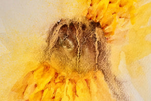 Radiant Love : Advanced Sunflower