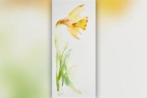 Simple Study : Daffodil