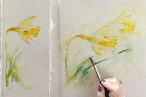 Simple Study : Daffodil