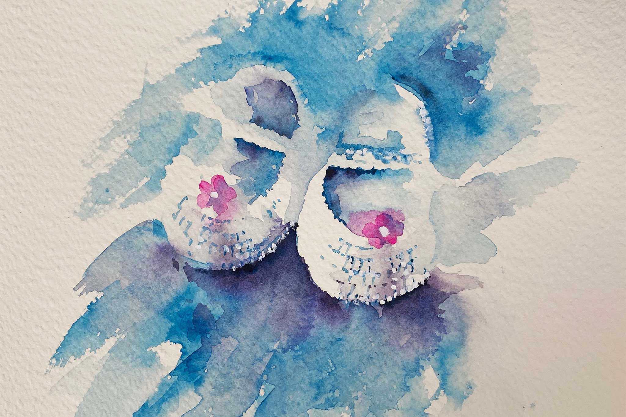 First Steps : Baby Shoes