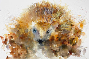 Hedgehog Reflection