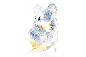 Koala - Preview