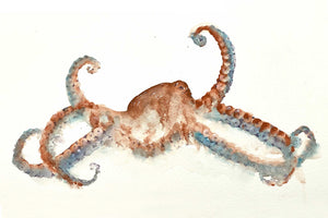Underwater Adventure "Octopus"
