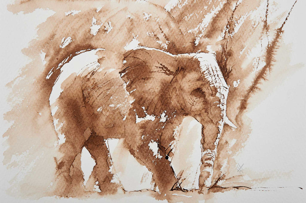 On Safari : Elephant in Watercolour - Preview